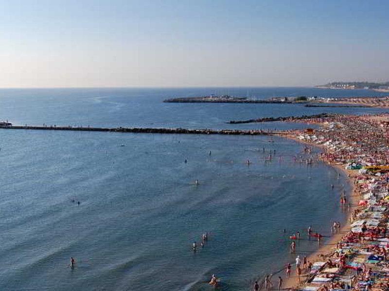 C261B81071DB9DB5F43273289290ACCF