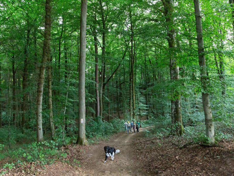 928C46389A6BB7548E50B18FC9EB2084