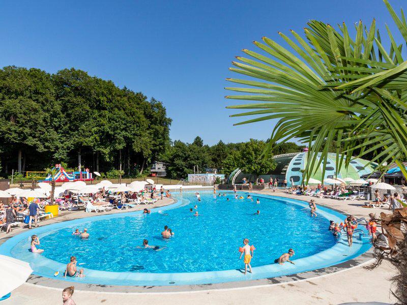 949752AAE05AA7B575BE53A04C0F477C