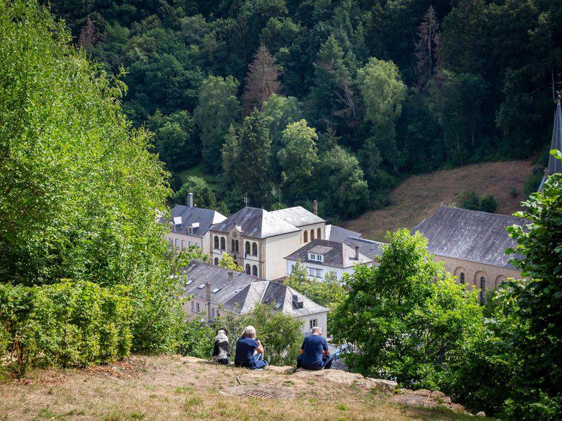 44D287962F43B878597D0CFD72A576B3