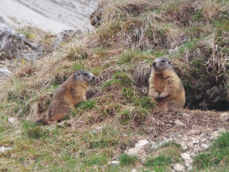 BC77B1615E1C2D00E4C7434442EBD020