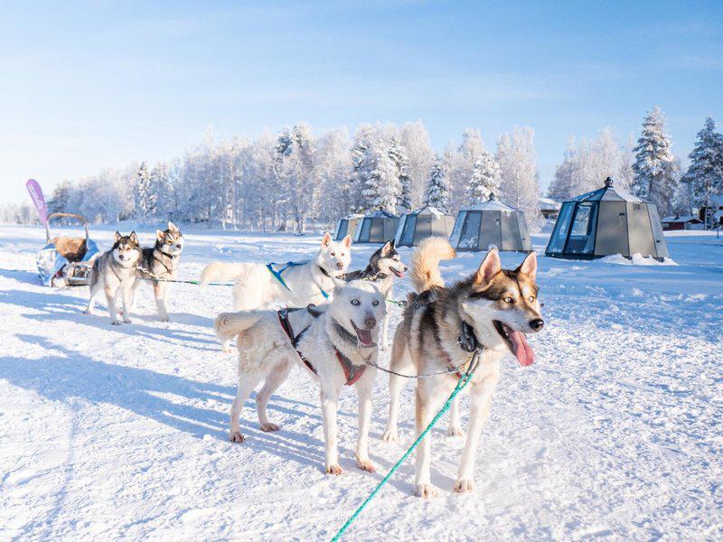 A551EE5191F02193DD93E902DFB0B074