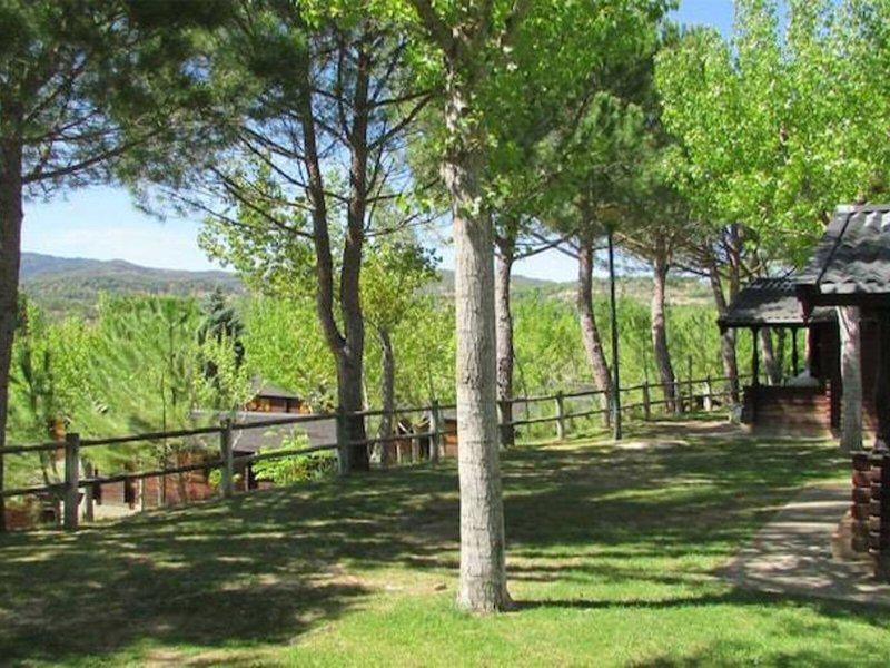 81B0FD60387D5D802742DE1C6597E213