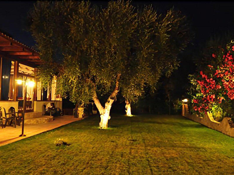 0C83578D2002AE41AC5DAEE2E3EC1C6B