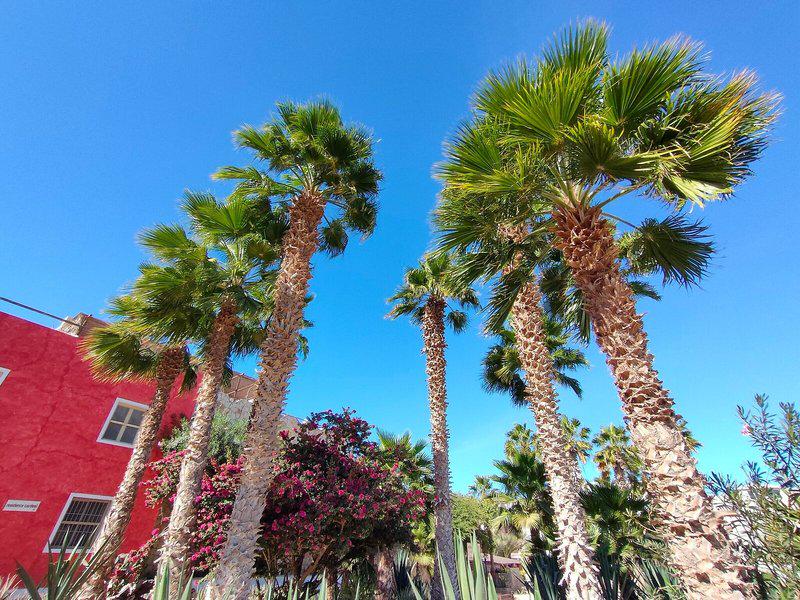 99CB29305AC4EE66FBE30C9F7FAC59B5