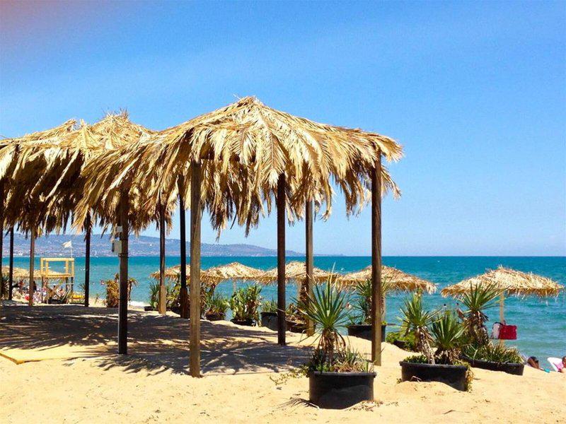 FF81C7C9564C83F234BF493FEB492C33