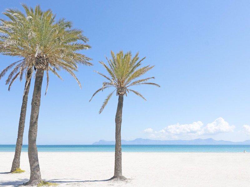 522F7A45FDC438E9BFCEFA85B3B6FC4B