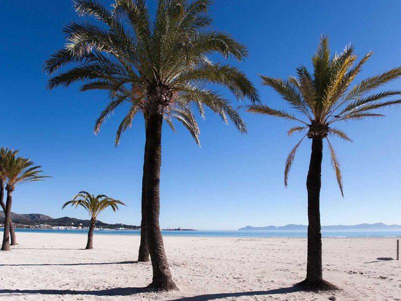 31E86F6FBC8B4D61908D7B9DA47F8BA1