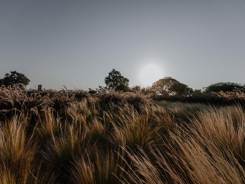 7A527EDE43CB7C40BCB35F2386222FB1