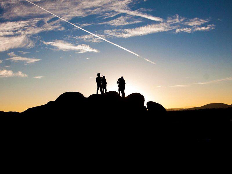 75FEB4E7D0117F69B7D4E2B8AE313C77