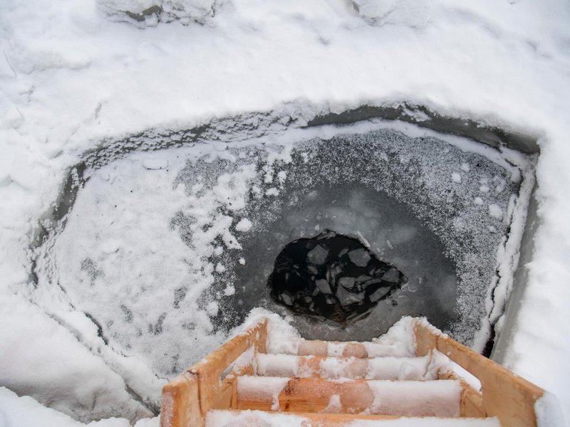 056D4CF3135FEEF358D6DBEADBD0F891