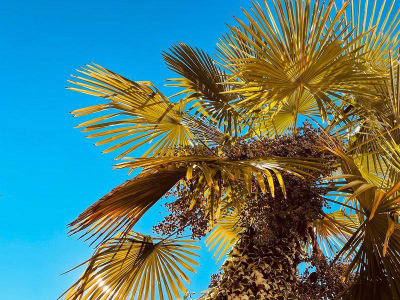 3EEB9F9BD2B1C1526A1D0E9CA34FB8FA