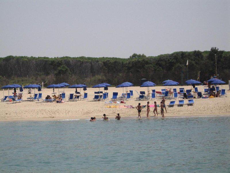 B92F339D12ED05C1AFE493D058ECCC9B