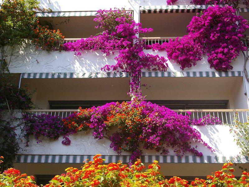 16CFF9E1F18312FC248C16DE4267A396