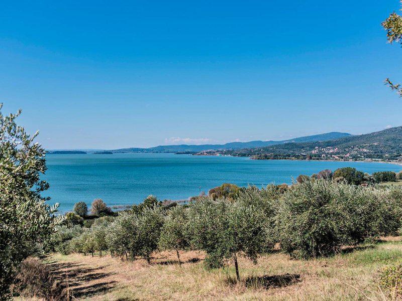 E535C0618A9BF9435E64545A2761F31C