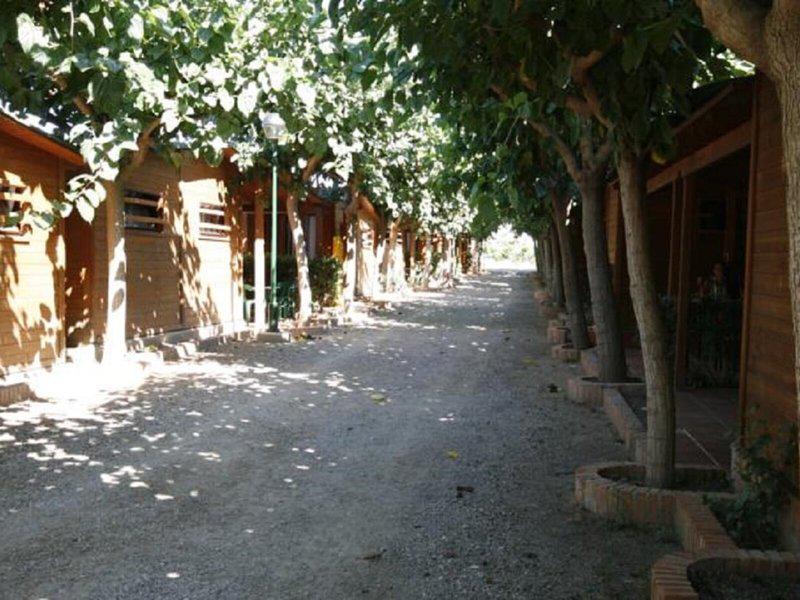 B4E0198531074A2A785B0BF37C74184F