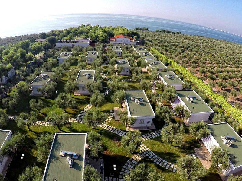 289310B2F8155B97D2B214546D029F1A