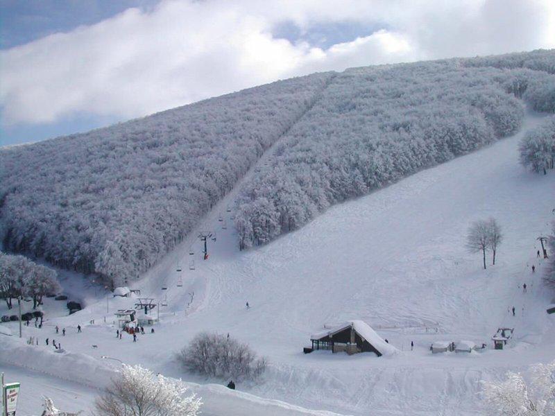 67E5F5F9542E35B6F42F454702B35FC5