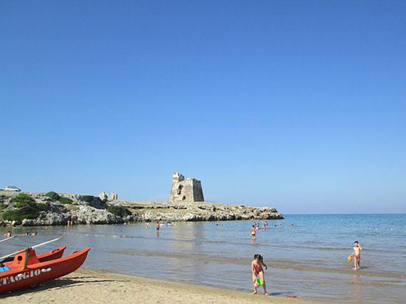 FBC7D6698BA194B97A3CC44B2725F84D