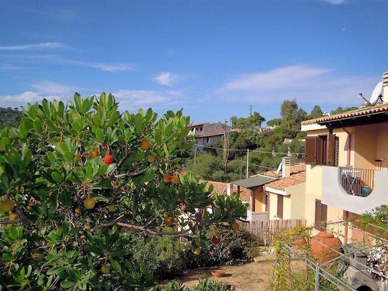 24E216DFF9748A393C1A9004596547D3