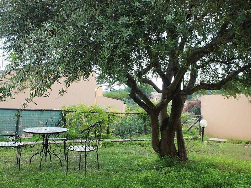 2539E06A930494D62020A603EDC04506