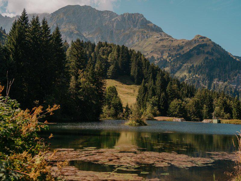 9BFA2E3F9704023EB92A4B9FB4E1FEAB