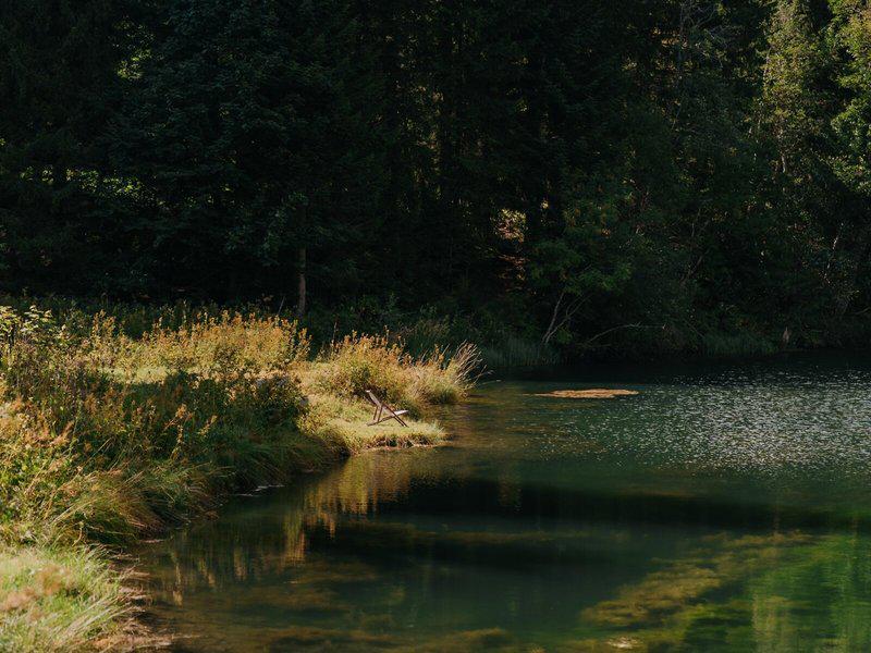 BD0C556534C96F6F45720713DE74220C