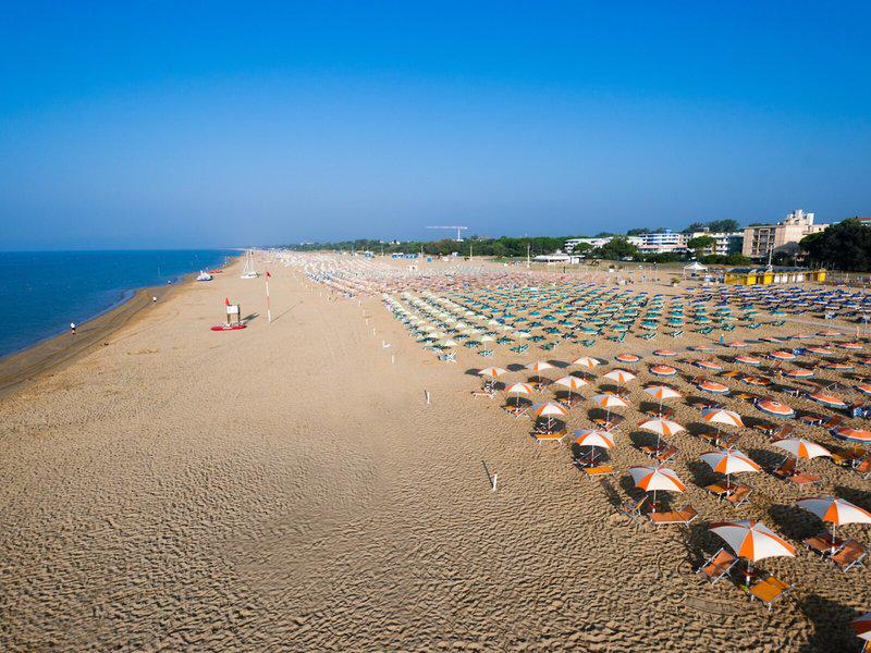 736A62DD5F57BFF596F2CEA4F1B9F06E