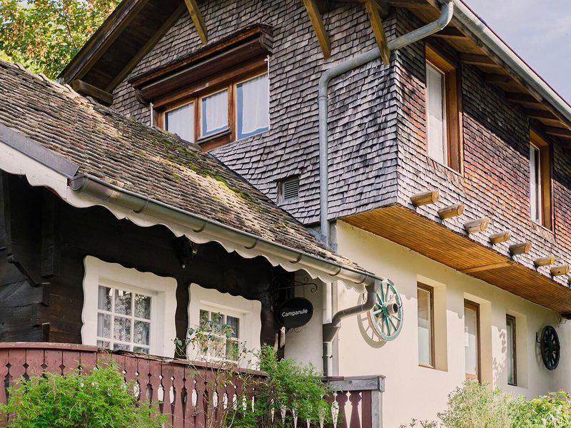 EB4787A7E7AE41AB2EB3776F9E0B6743