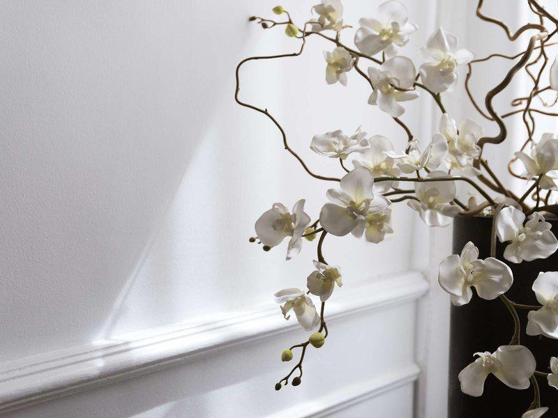 30287C4B5272E69829711A5C6BFD6B34