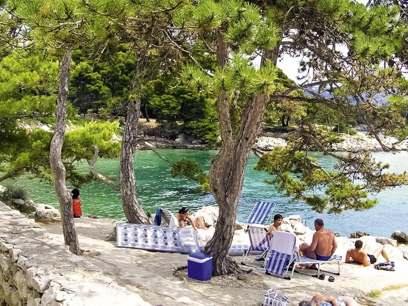 AE9A10629D4AE8135D878969D6DD25FD