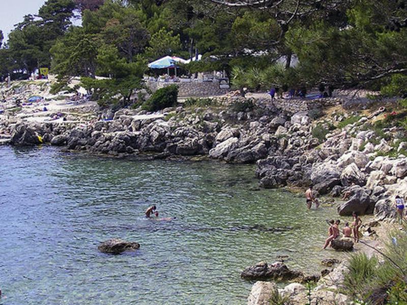 CF32D0CF6CF8A4FD718295BC4FEDE37E