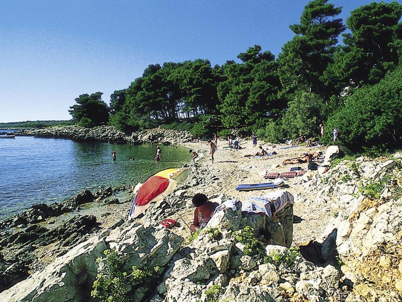 661CA6F2280A1717392CEBFCC7BC0335