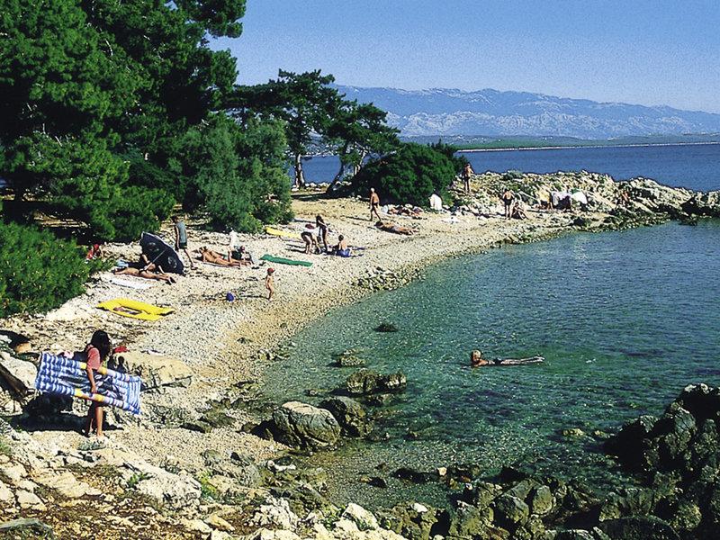 6F82E1911D514311BC92C06979070A92