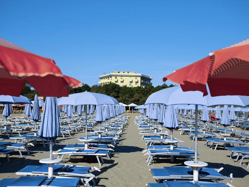 3F135EC780CAC018459D46BDC6A7044F