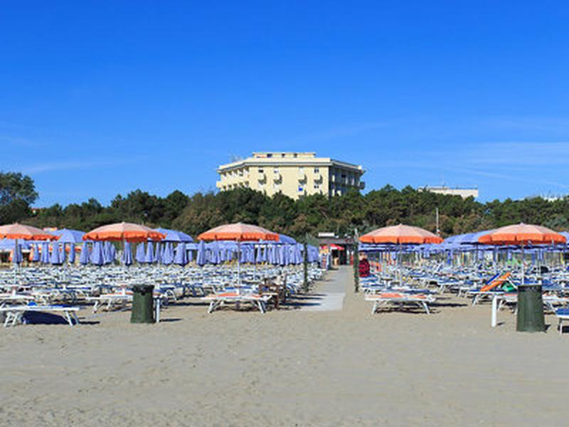 79A3D29361BD7B948B698FAB268C04F6