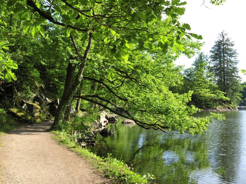 CA23B6C4CA69F53E1132B48ED27DDEA1