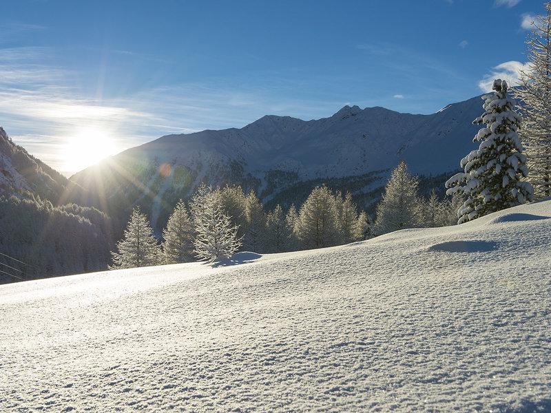 733DE956F85B24DC37F2C8CB4CDA4DCB