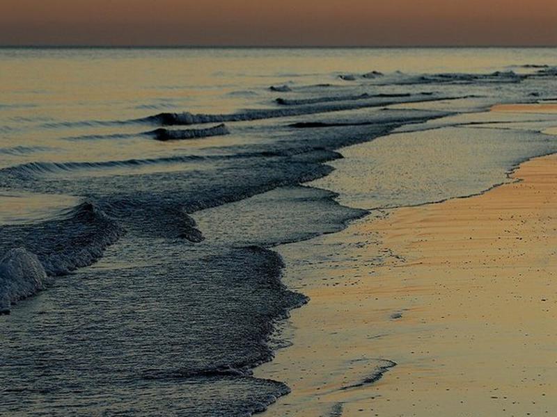 C9DB8106F2DCD56573CD69613273A375