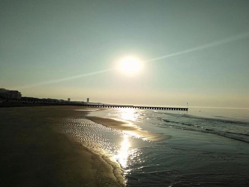 D34DB931E218A8A7A64FD0C701D94A96