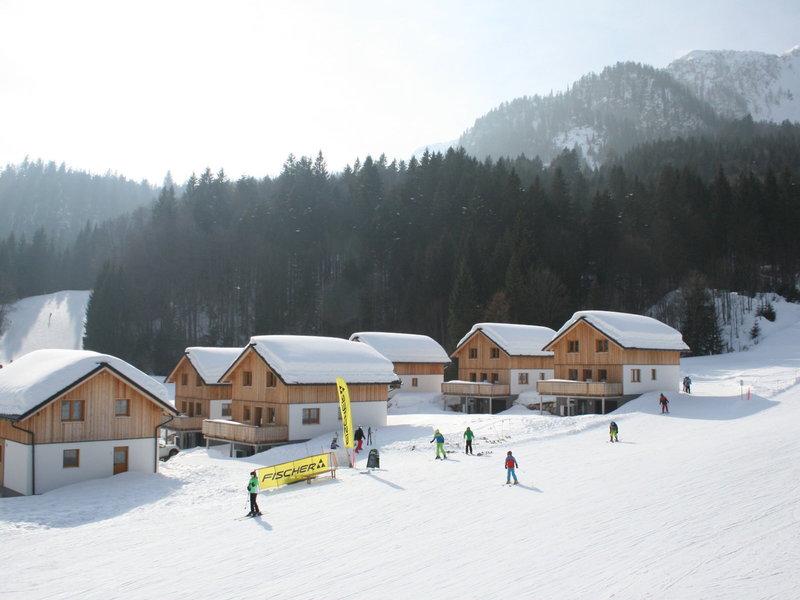 329D5E08DED1E2BBCD764F77C112E719