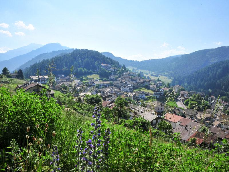 DAF0896ED7340E604B4742D5E54D07C7