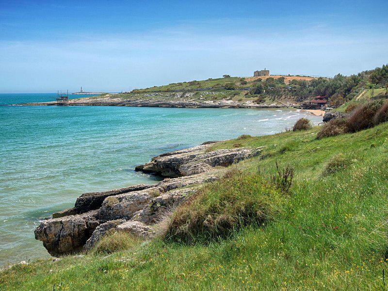 9AE59E79EB236E8931602F3F539453EA