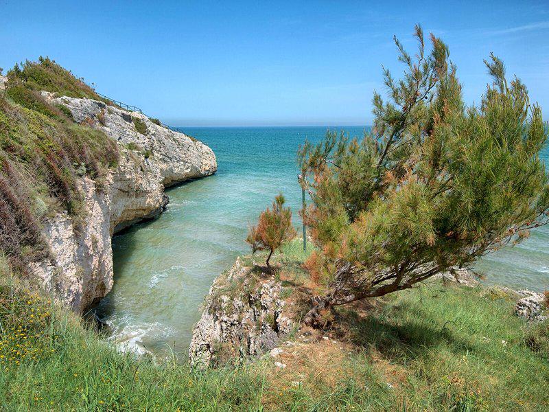 709A945B6C1BE0F2AE5ACFB0B9CAB361