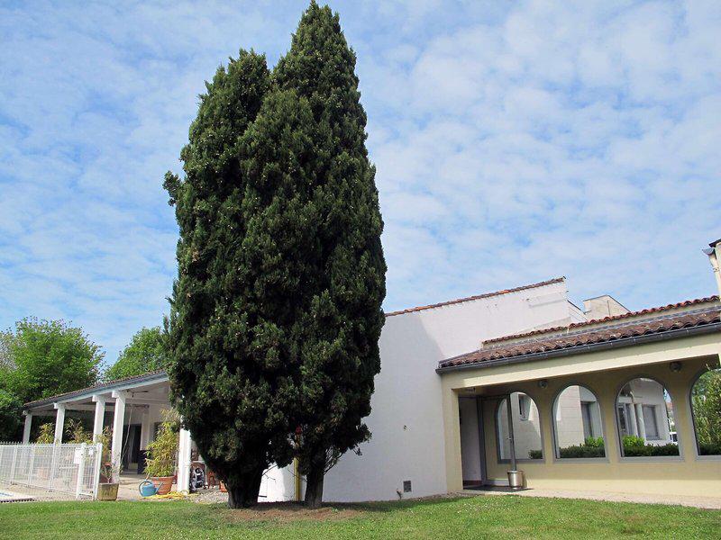 3E8741D06873112494DBBB63ED6C79AD