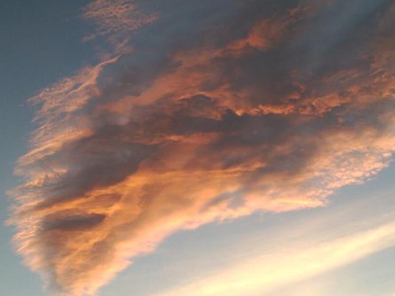 D19C9A47E4E0A982E4FD79981FD90E9F