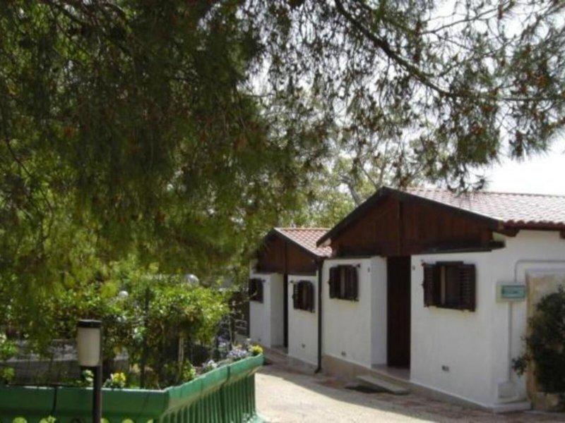 709C4730DB62A3999AF927C5EB66162A