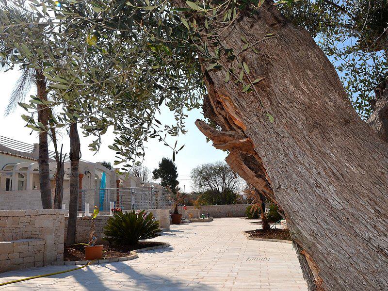 779EBACB0F8DA01F3BC315CF9C335667