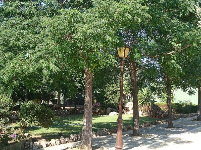 135B19390A132DCA9B767D914ADDC2E5