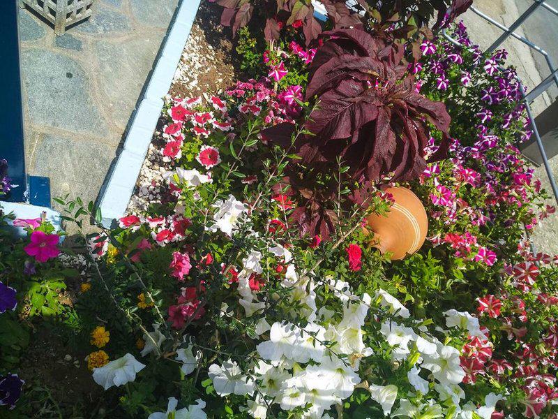 7EDBCCFEE607BB7BCF71F42EE063D08D